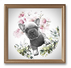 Frenchie Boy - French Bull Dog Animal Artwork