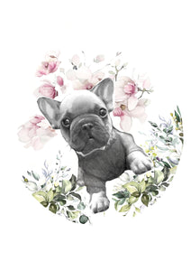 Frenchie Boy - French Bull Dog Animal Artwork